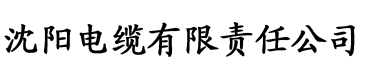 亚洲综合av一区二区三区在线观看电缆厂logo